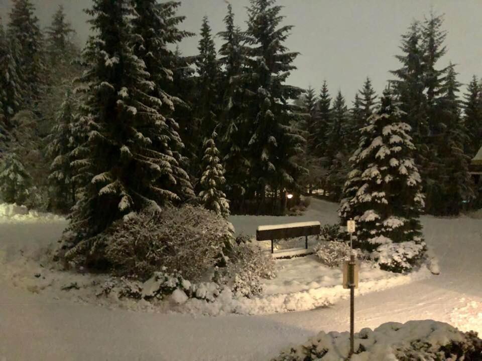Powderhorn By Whistler Blackcomb Vacation Rentals Exteriör bild